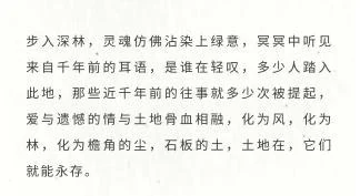 春到青神：苏风若水，流萤成海作品展示 2