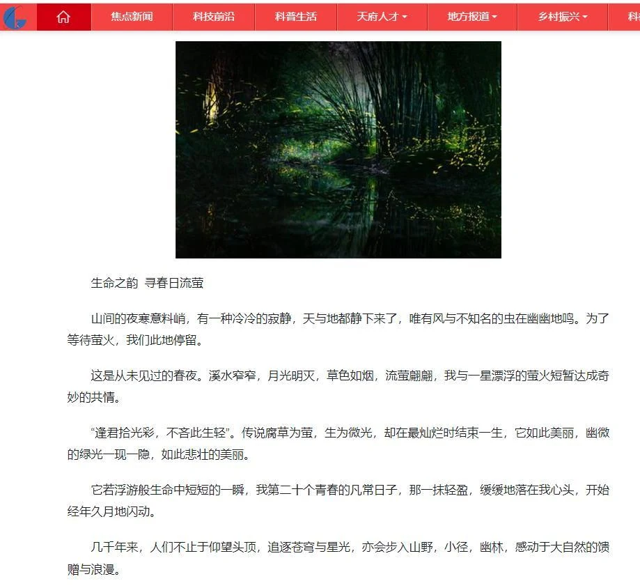 春到青神：苏风若水，流萤成海作品展示 3