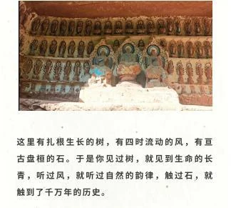春到青神：苏风若水，流萤成海作品展示 4